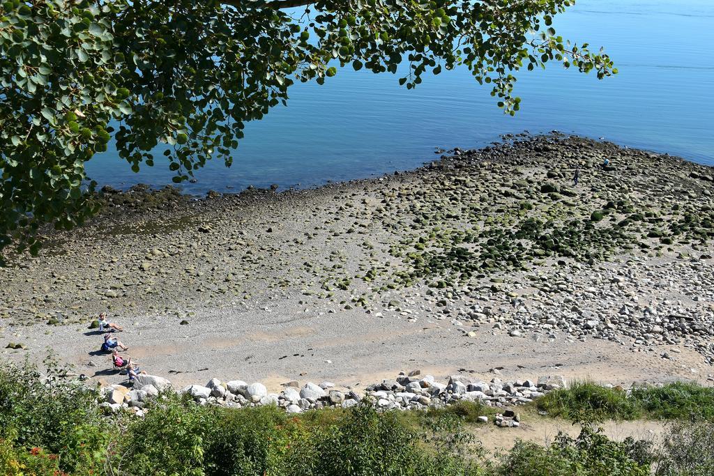 Motel Et Chalets Bo-Fleuve Evangeline Сен-Симеон Экстерьер фото